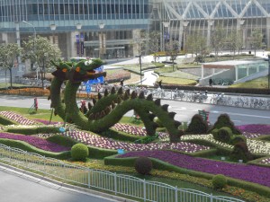 Dragons grow in Shanghai