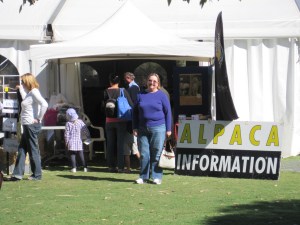 Preparing to enter the show